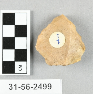 31-56-2499