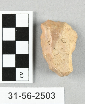 31-56-2503