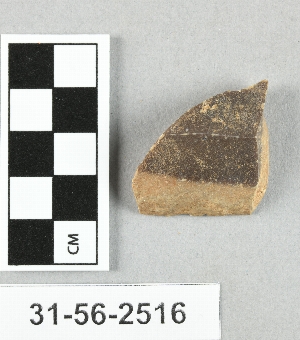31-56-2516