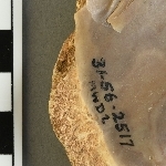 946444