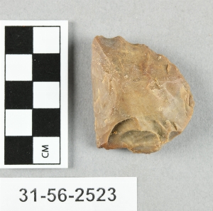 31-56-2523