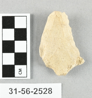 31-56-2528