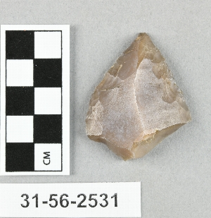 31-56-2531