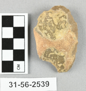 31-56-2539