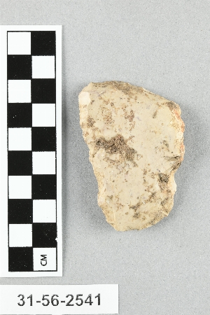 31-56-2541