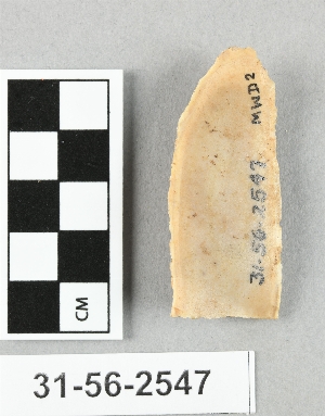 31-56-2547