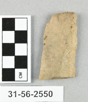 31-56-2550