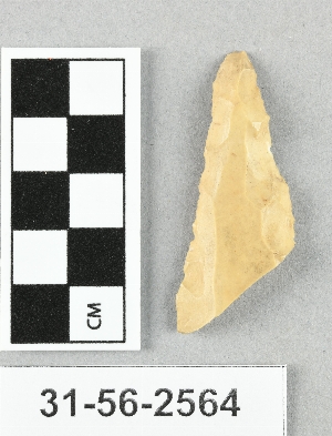 31-56-2564