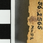 946601