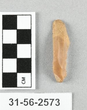 31-56-2573