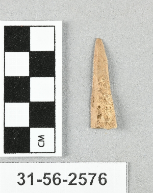31-56-2576