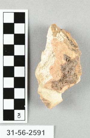 31-56-2591