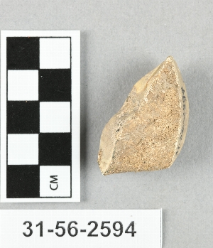 31-56-2594