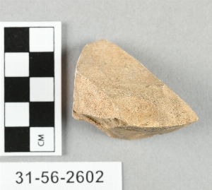 31-56-2602