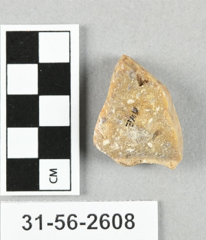 31-56-2608