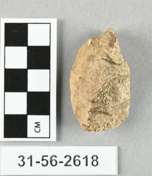 31-56-2618