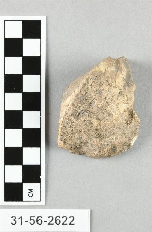 31-56-2622