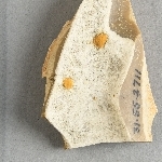 947033