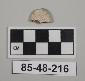 85-48-216