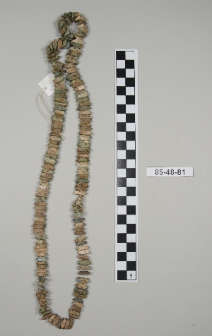 85-48-81