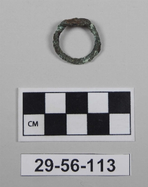 29-56-113