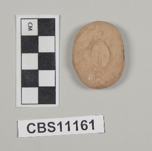 CBS11161