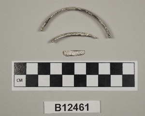 B12461