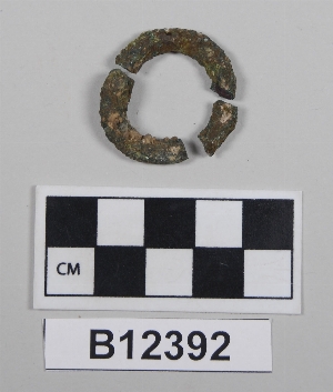 B12392