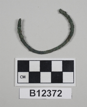 B12372