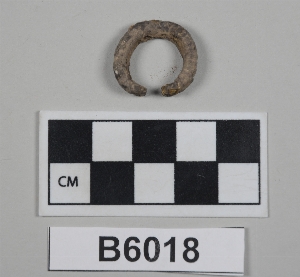 B6018