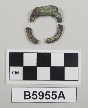 B5955A