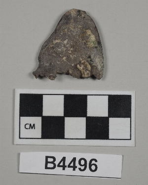 B4496