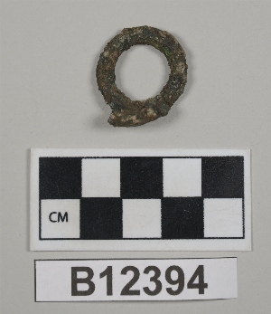 B12394