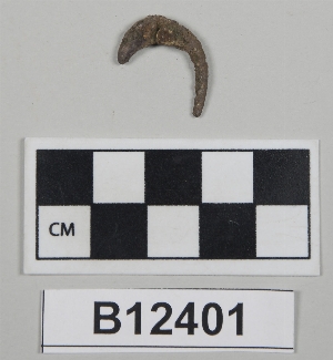 B12401