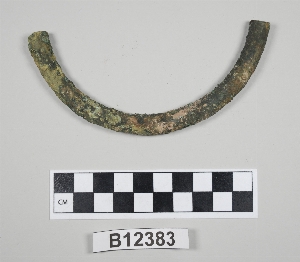 B12383