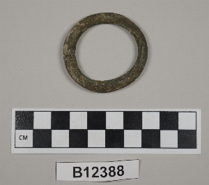 B12388