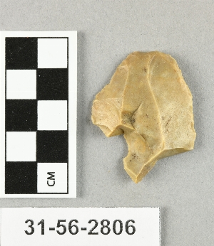 31-56-2806