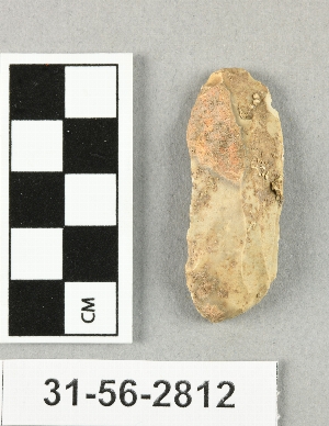 31-56-2812