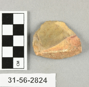 31-56-2824