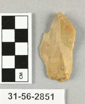 31-56-2851