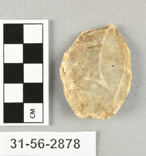 31-56-2878
