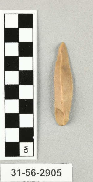 31-56-2905