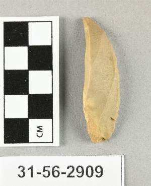 31-56-2909