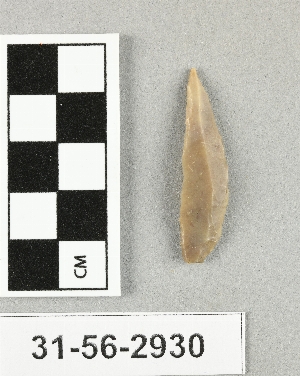 31-56-2930