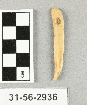 31-56-2936