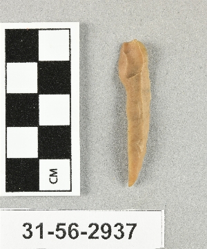 31-56-2937