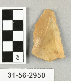 31-56-2950