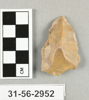 31-56-2952