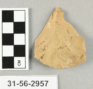 31-56-2957