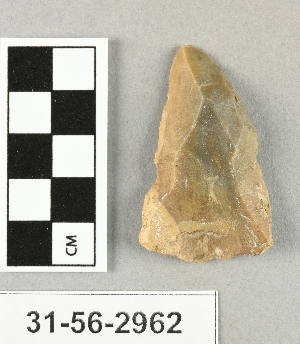 31-56-2962